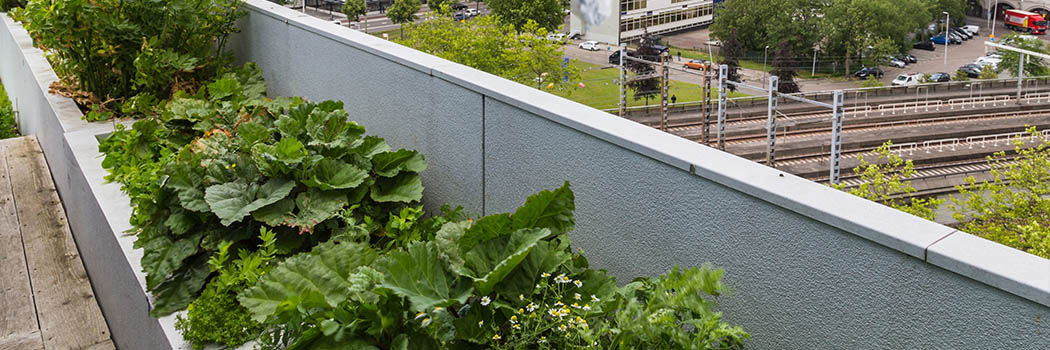 Green Roofing