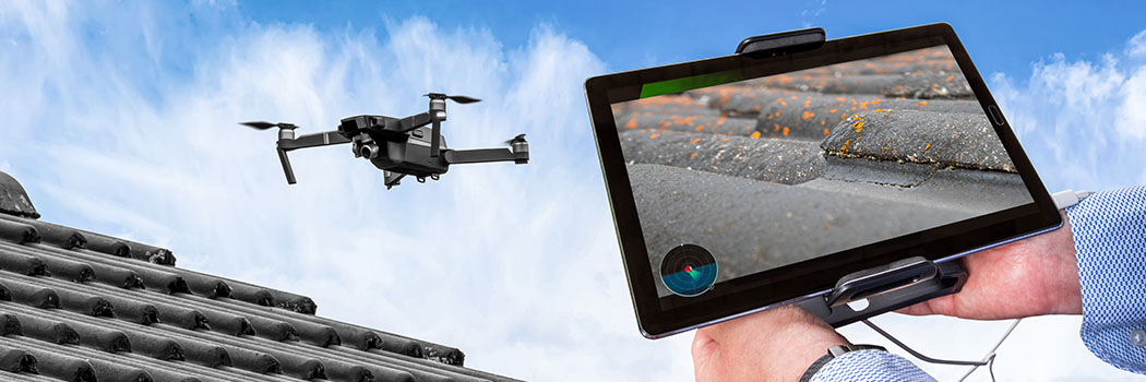 Drone Surveys