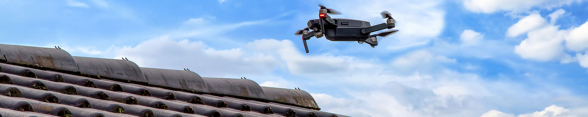 Drone Surveys